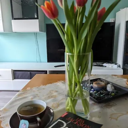 Philippi - Moselblick Mit Grosser Dachterrasse, 75 Qm, Hunde Willkommen *