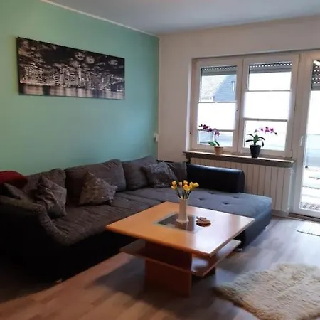 Apartman Philippi - Moselblick Mit Grosser Dachterrasse, 75 Qm, Hunde Willkommen