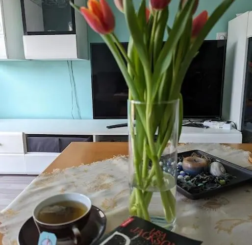 Philippi - Moselblick Mit Grosser Dachterrasse, 75 Qm, Hunde Willkommen *